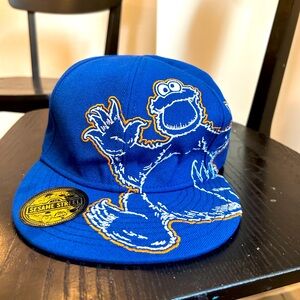 Sesame Street Cookie Monster hat